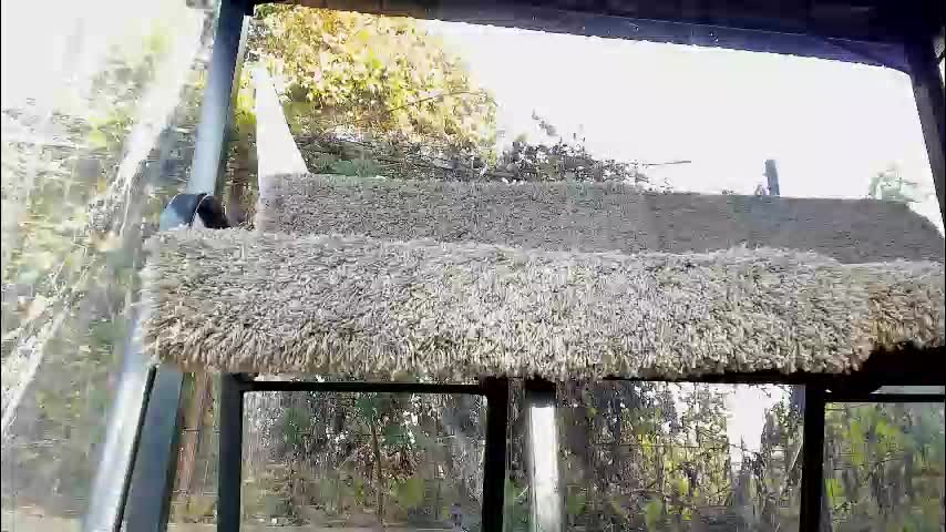 you_love_melisa Adult Chat October 27, 2025