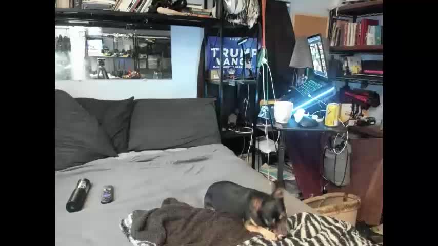 pink_black Adult Chat October 29, 2025