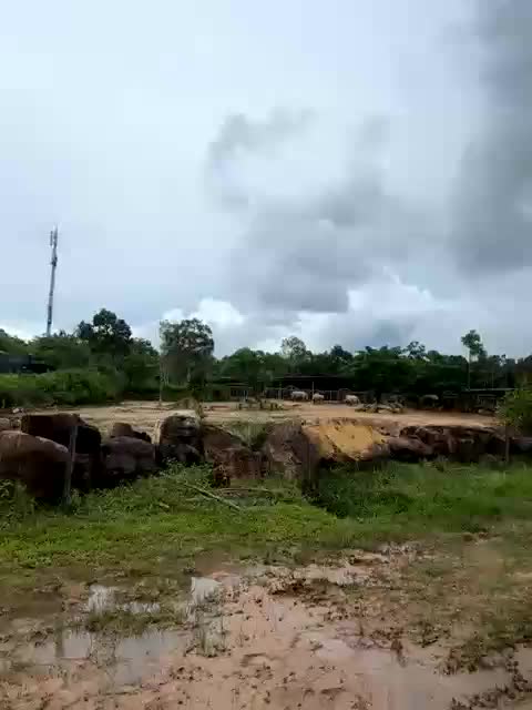 MoanaQliphoth Adult Chat October 31, 2025