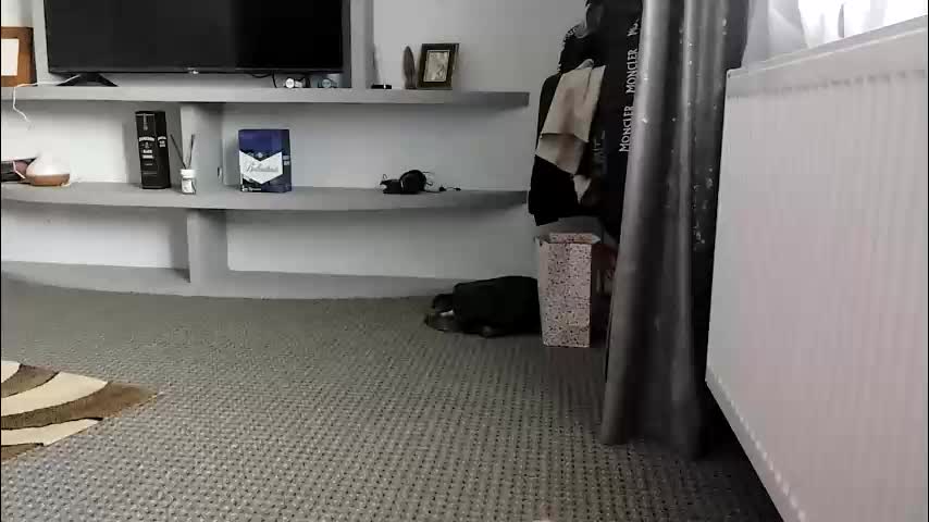 crazybrenda89 Adult Chat October 30, 2025