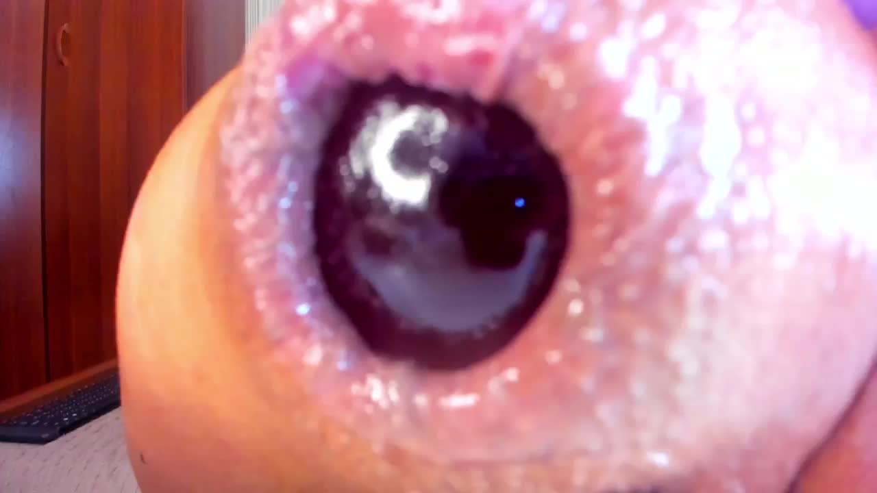 NikkaHotX Adult Chat October 31, 2025