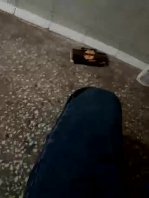 sinful1239 Adult Chat October 26, 2025