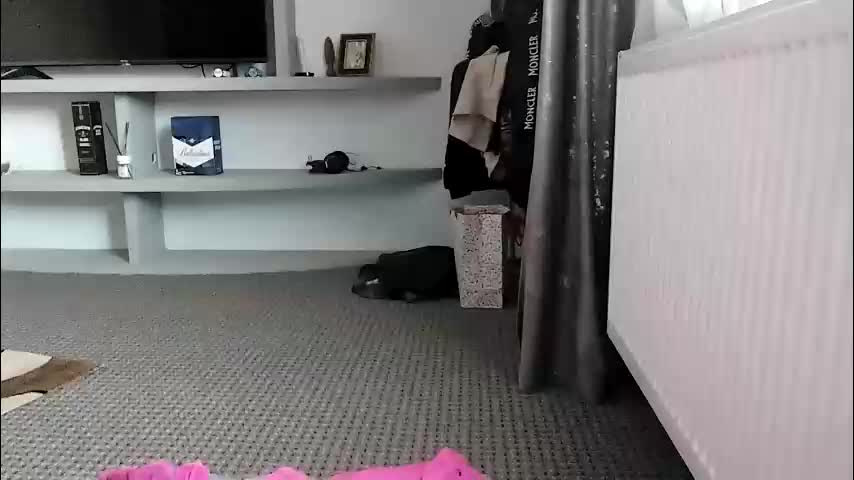 crazybrenda89 Adult Chat October 29, 2025