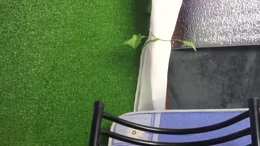 Jony_Marta Adult Chat October 27, 2025