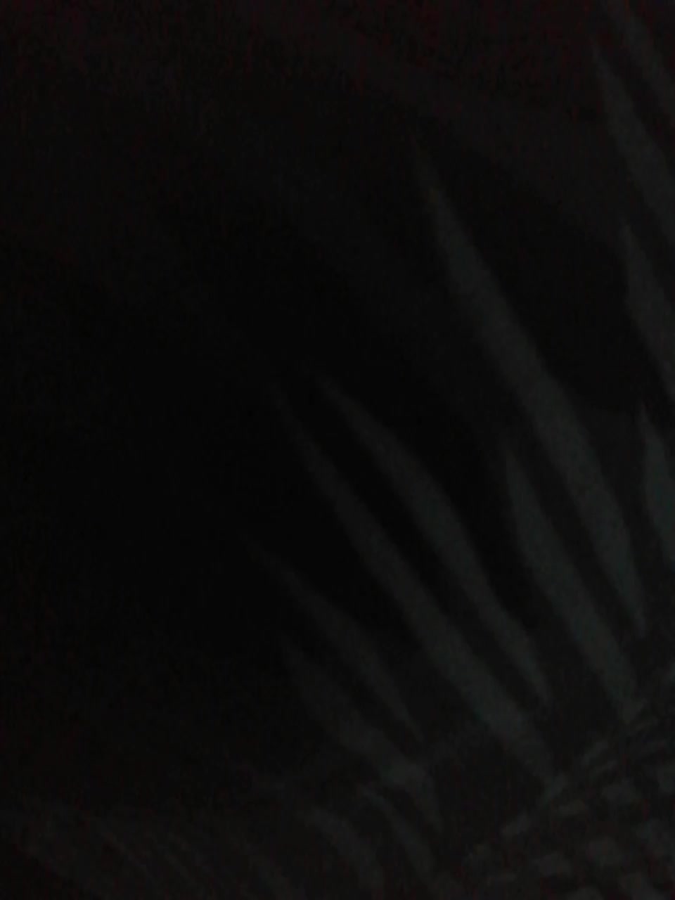 TISE Adult Chat October 30, 2025