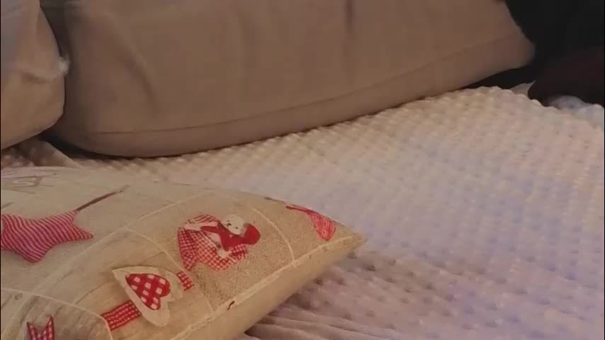 jolyndeb Adult Chat October 30, 2025