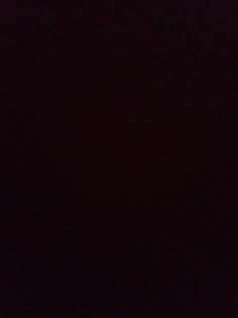 Niki233221 Adult Chat November 1, 2025