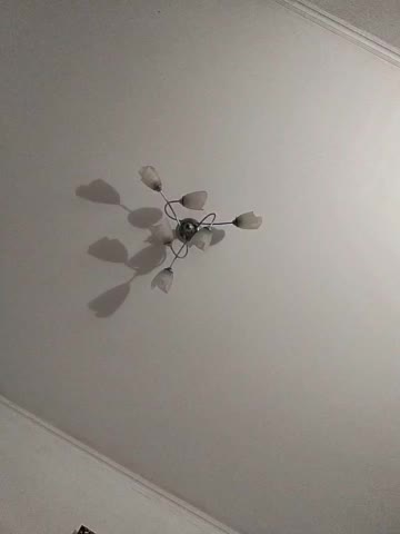 MonicaMilf Adult Chat November 1, 2025