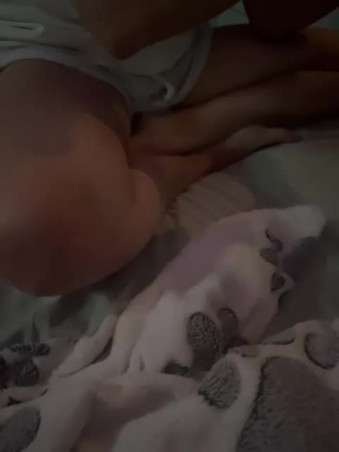 ParraTigroff Adult Chat November 1, 2025