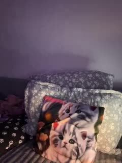 Kate_kotuk Adult Chat November 1, 2025