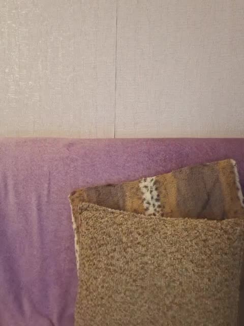 HaisonEris1 Adult Chat November 1, 2025