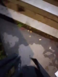 EVIL_TITS Adult Chat November 2, 2025