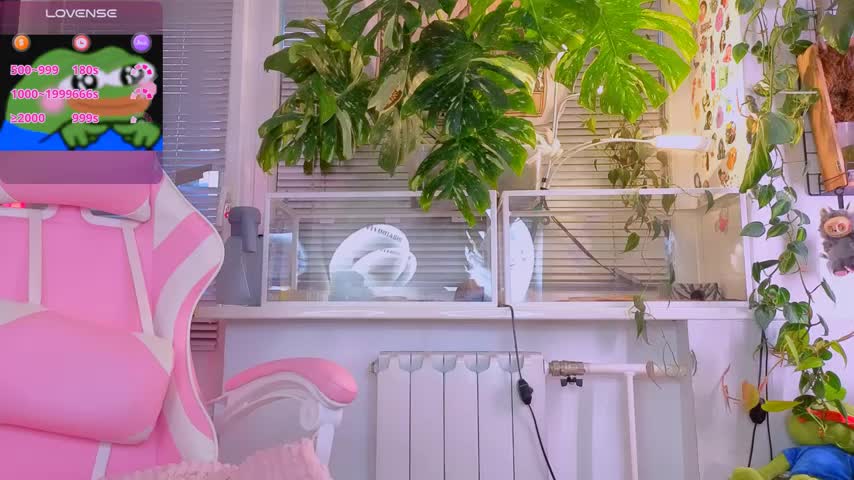 jelya_sg Adult Chat November 2, 2025