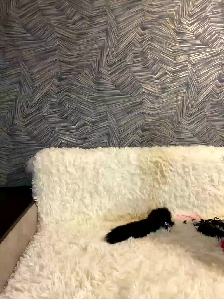 Malishka007 Adult Chat November 3, 2025