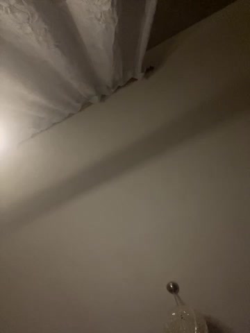 _Molly-Mae_ Adult Chat November 3, 2025