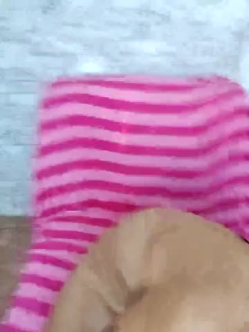 Lina-Luna Adult Chat November 3, 2025