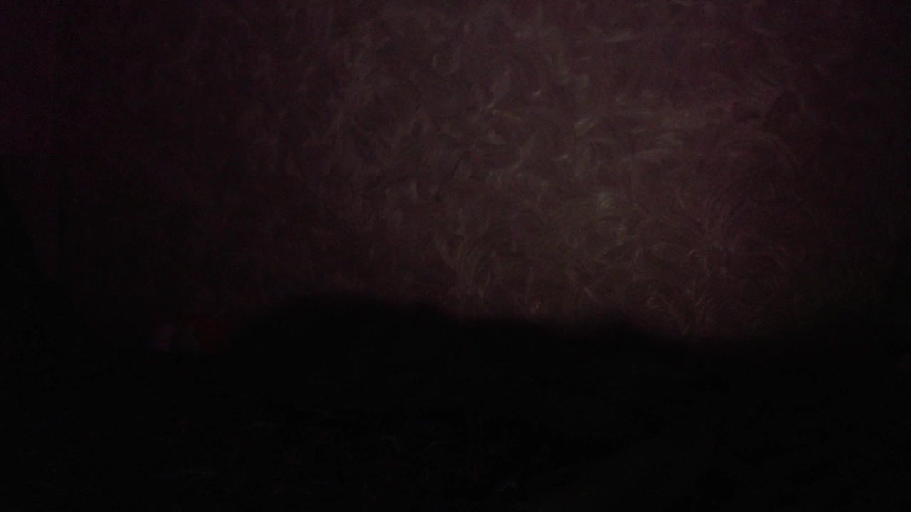 ImmortalPrincess Adult Chat November 5, 2025