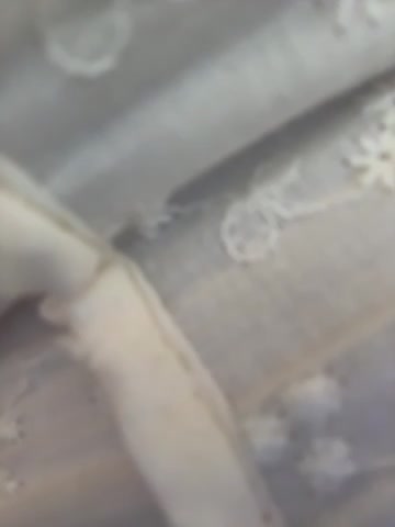 AndreaMood Adult Chat November 5, 2025