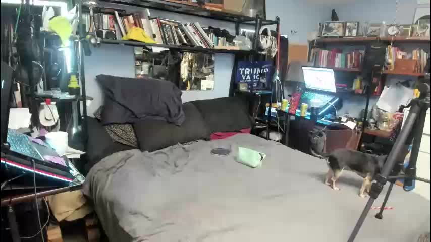 pink_black Adult Chat November 6, 2025