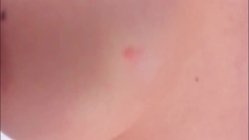 bush_woman Adult Chat November 6, 2025