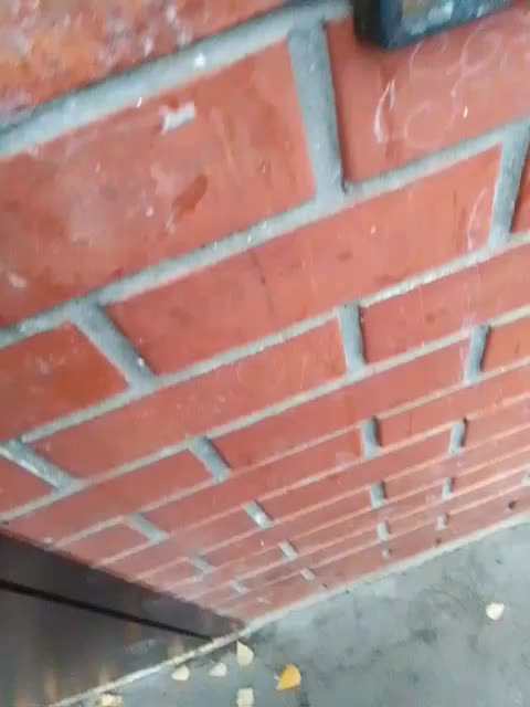 EVIL_TITS Adult Chat November 3, 2025