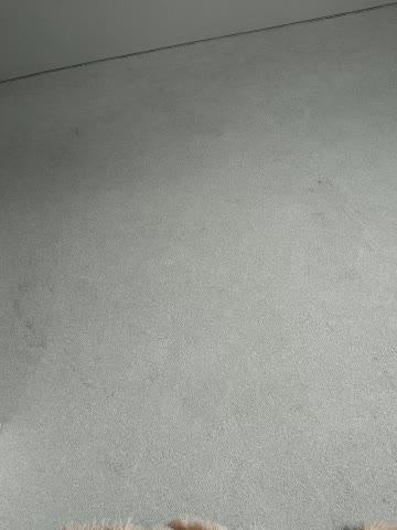 Frost_foxy Adult Chat November 5, 2025