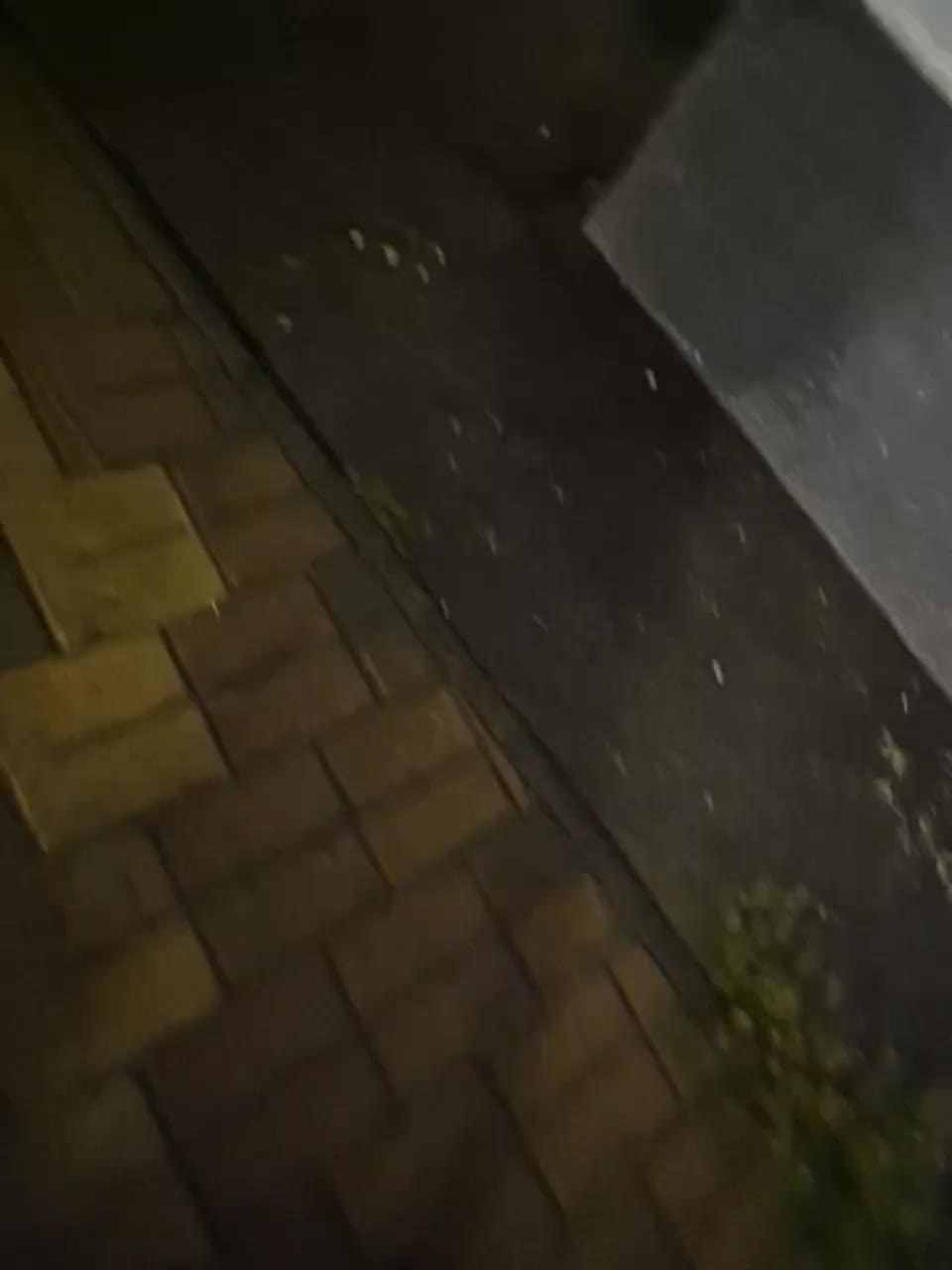 VCHELSIV Adult Chat November 4, 2025