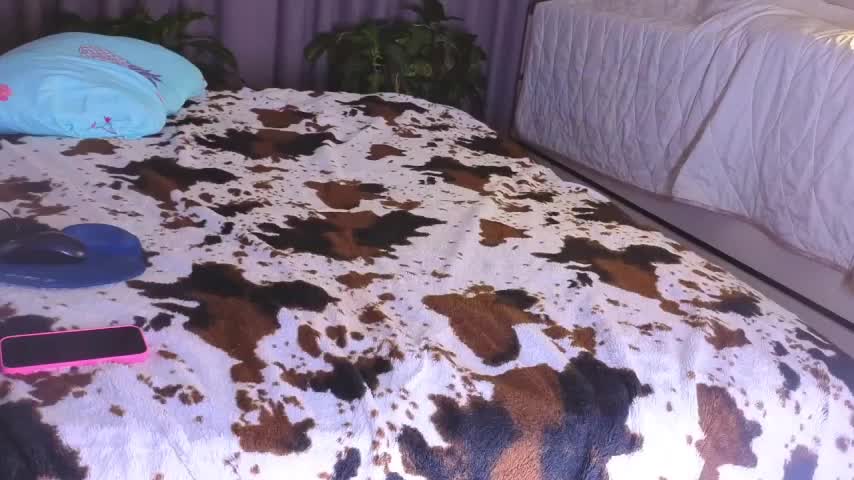 missnew2 Adult Chat November 4, 2025