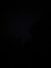 VibroMashulkaDashulka Adult Chat November 5, 2025