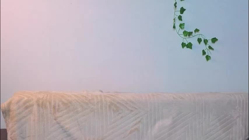 moirawenzinger Adult Chat November 6, 2025