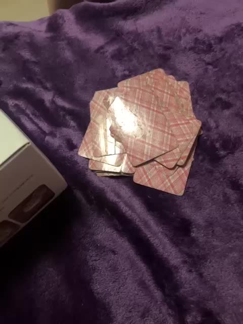 Maikl69Mila1 Adult Chat November 5, 2025