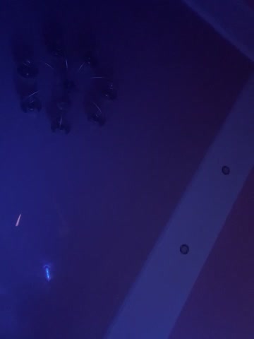 Flossy_Vettie Adult Chat November 5, 2025