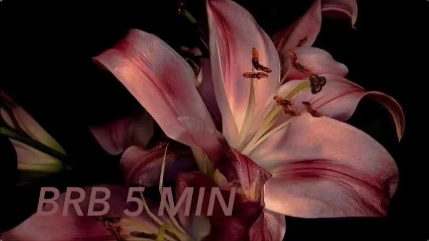 moranosofia Adult Chat November 6, 2025