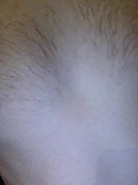 -Molly Adult Chat November 4, 2025