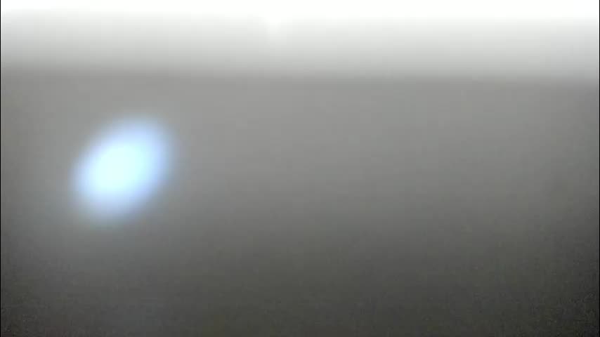 synop_sis Adult Chat November 6, 2025