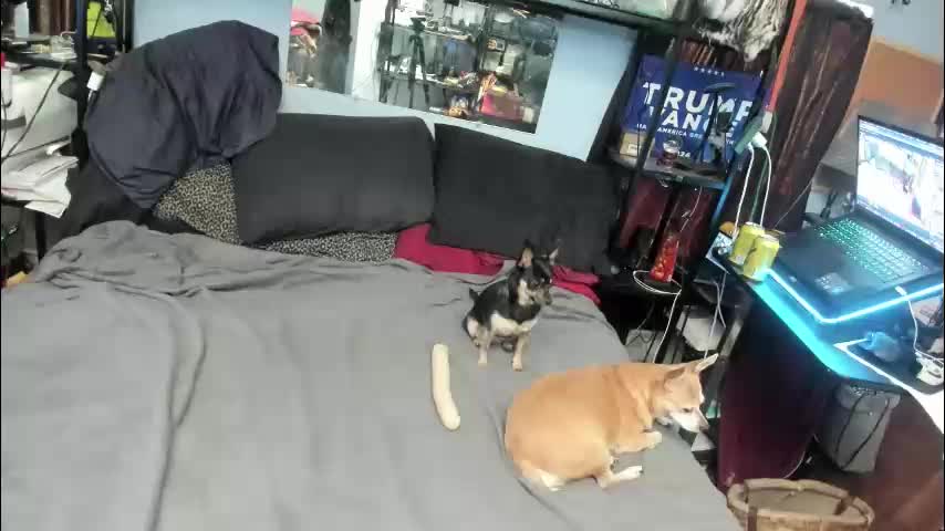 pink_black Adult Chat November 6, 2025