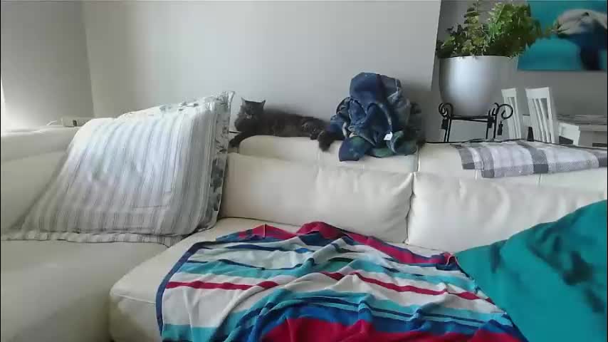 smallpenisbigtongue Adult Chat November 5, 2025