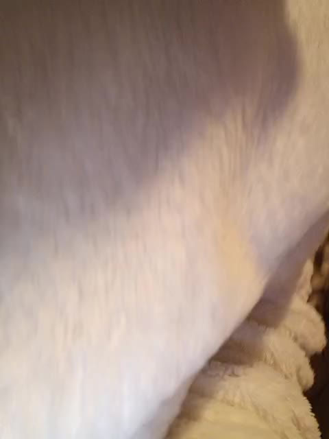 LikaBest Adult Chat November 6, 2025