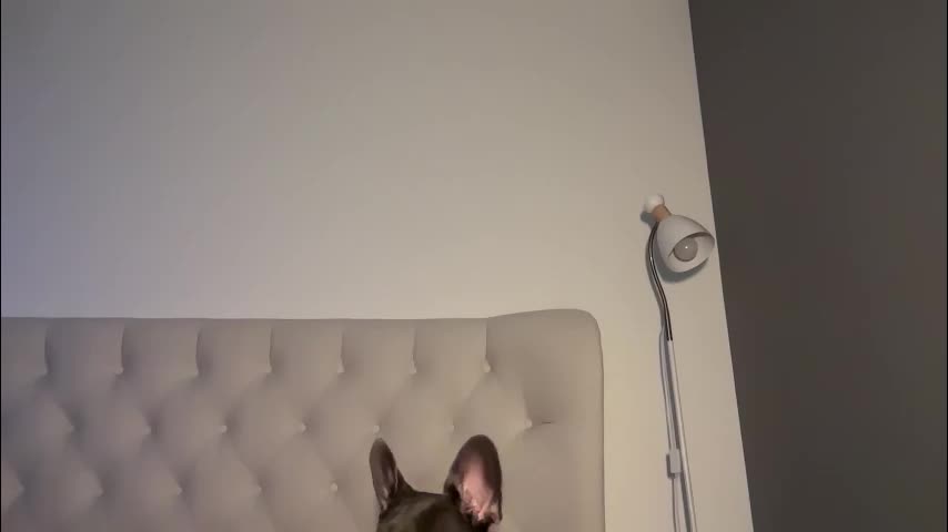 js_girls Adult Chat November 6, 2025