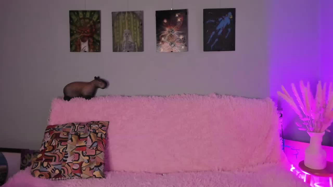 PeppeRage Adult Chat November 6, 2025