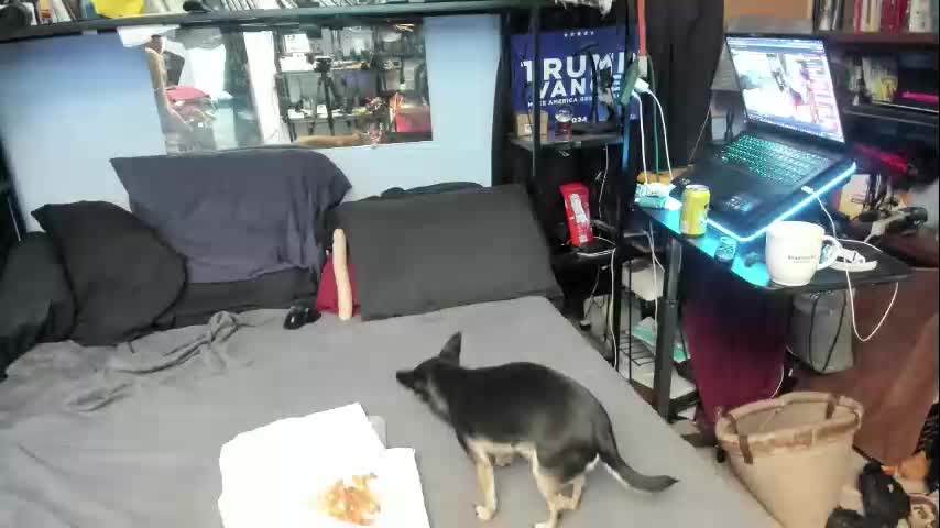 pink_black Adult Chat November 7, 2025