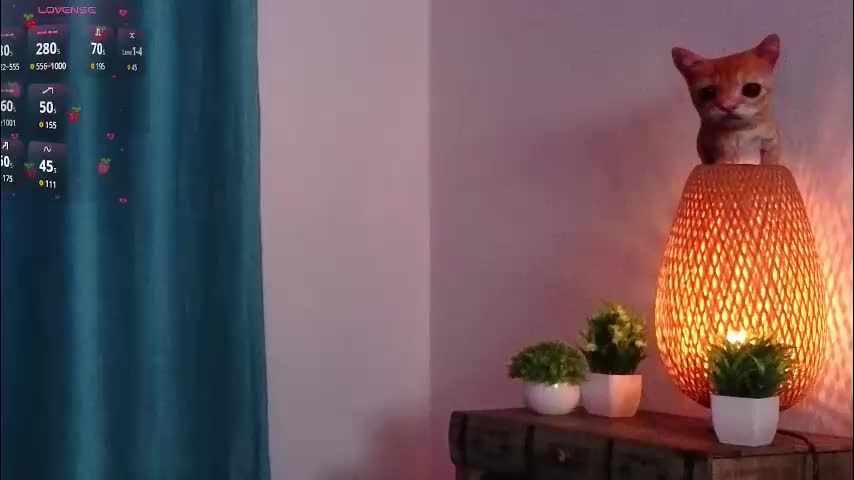 orvacurington Adult Chat November 7, 2025