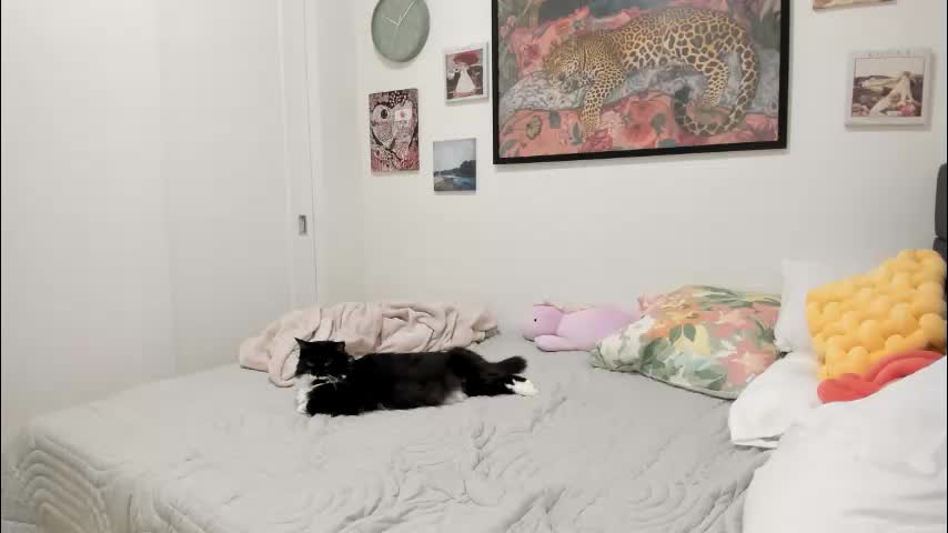 ariah_is_blonde Adult Chat November 7, 2025