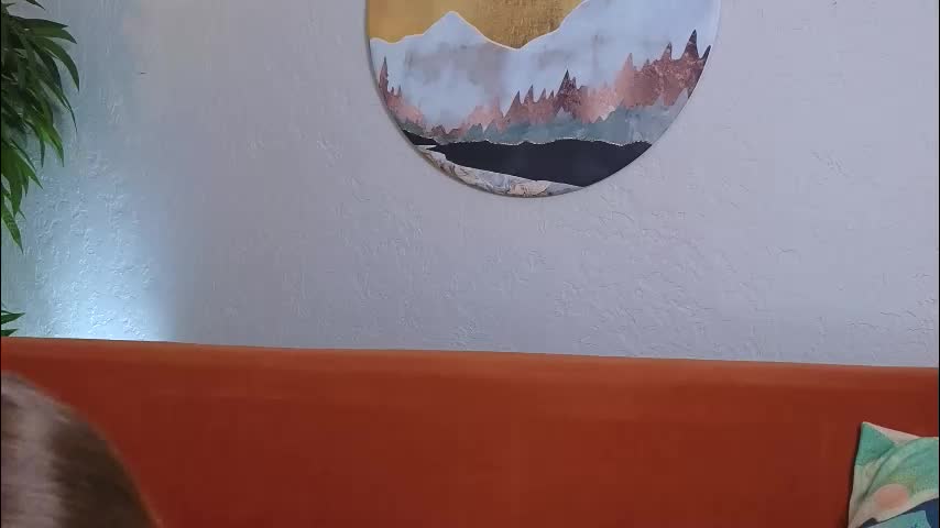 alicat_ Adult Chat November 7, 2025