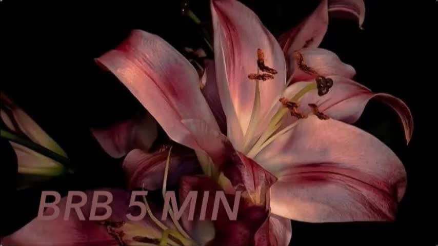 moranosofia Adult Chat November 7, 2025