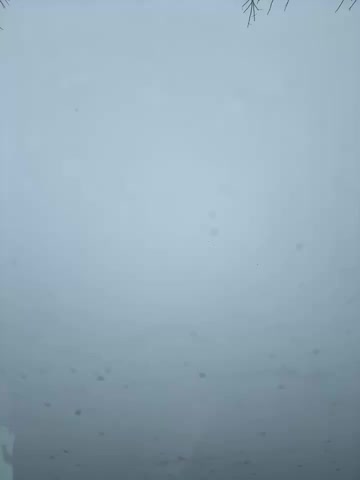 LikaCat Adult Chat November 7, 2025