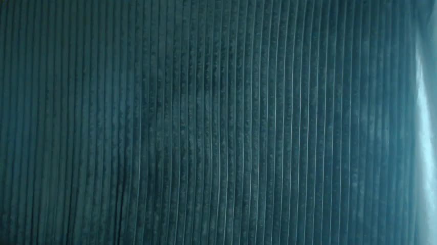 1BECHA1 Adult Chat November 7, 2025