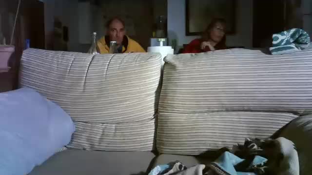 lolahueso Adult Chat November 7, 2025