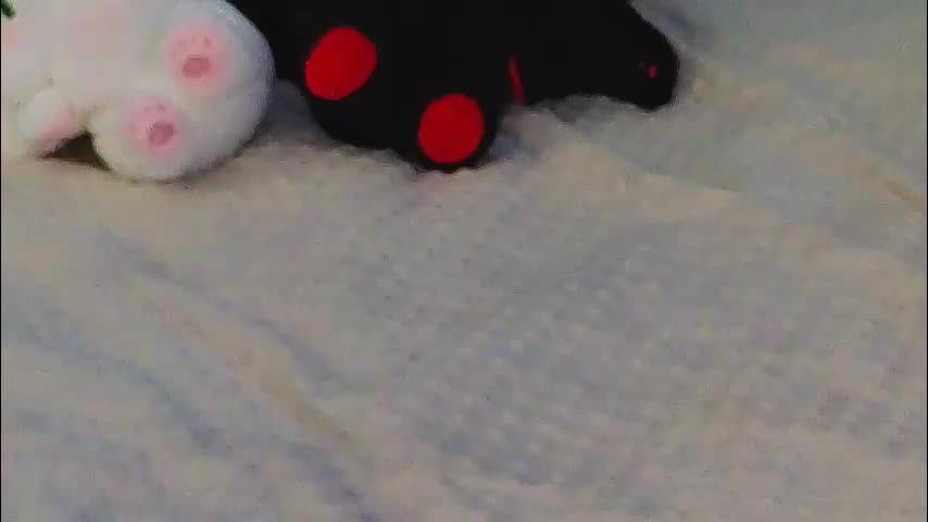 jolyndeb Adult Chat November 7, 2025