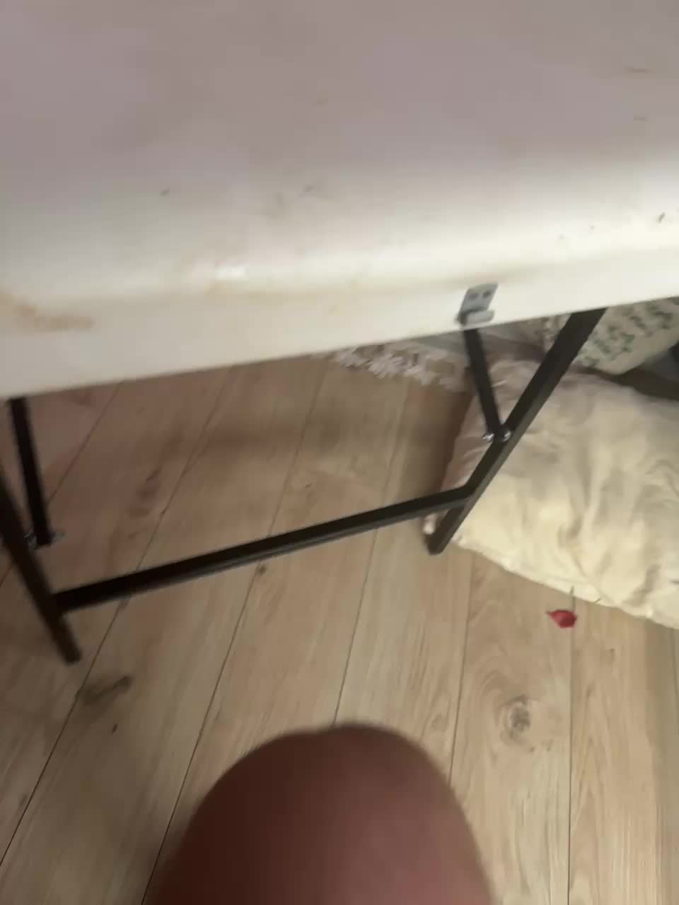 PornoRabbits Adult Chat November 8, 2025